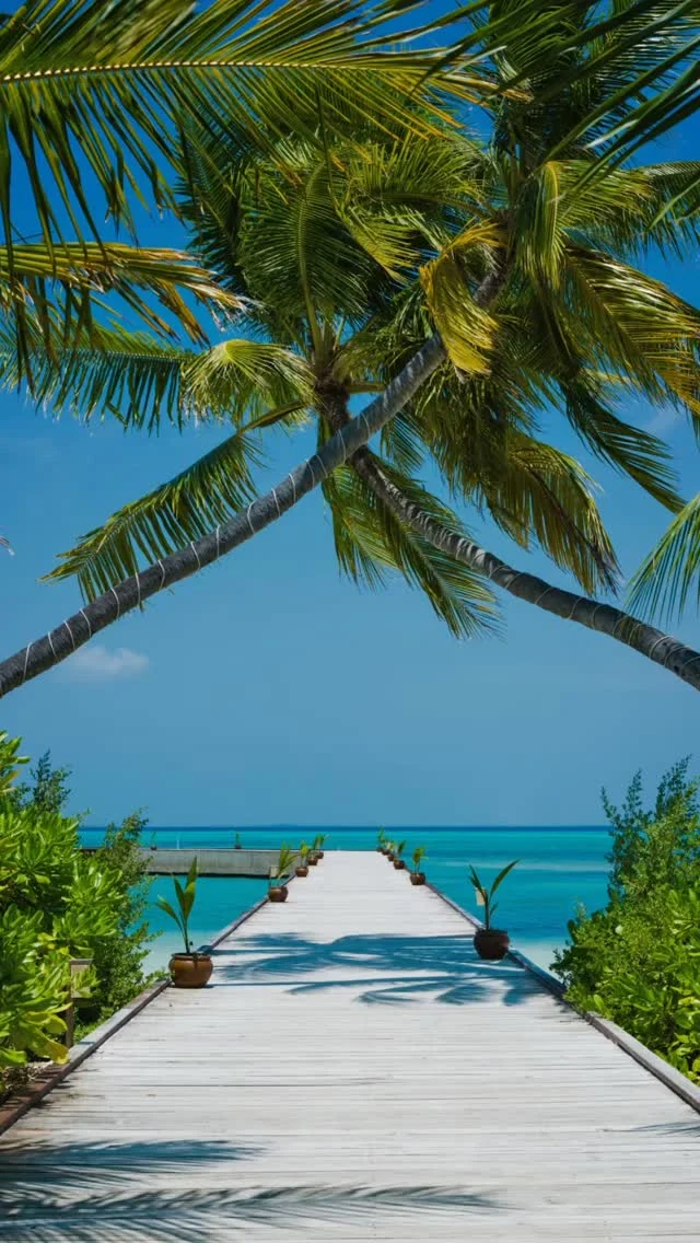 На целых 300.000 рублей дешевле забронировать отель у Paspartu, чем на букинге 😳

А вы все еще путешествуете без скидок? 🙉 
Бегом экономить! 👉 @paspartu_official 📩