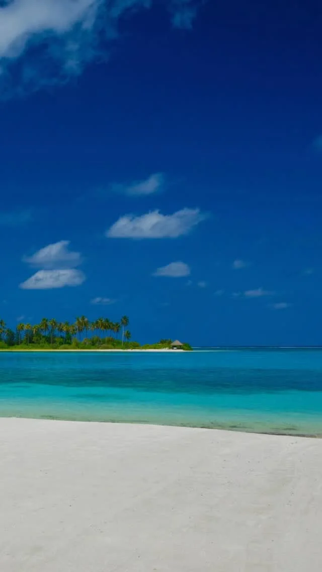 почти пол миллиона экономии, Карл 🤯

как можно бронировать отели где-то еще, зная, что существует сервис @paspartu_official 🤷‍♀️